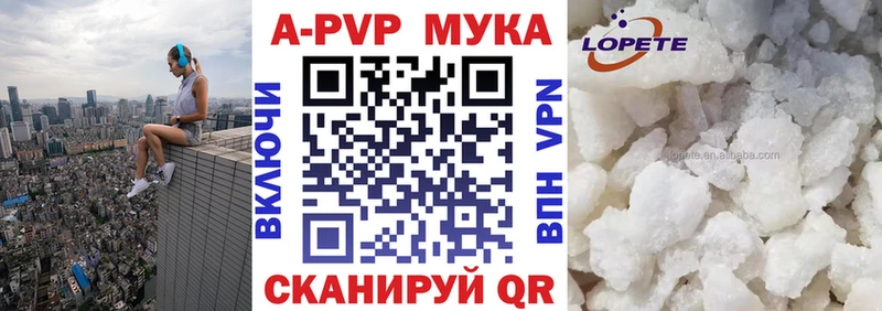 APVP СК  Инта 