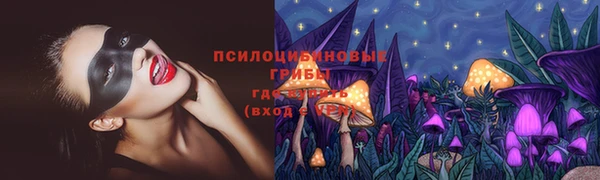 винт Сясьстрой